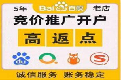 竞价排名成功案例分享